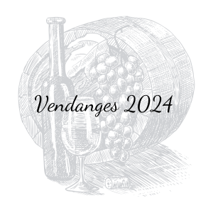 Vendanges 2024